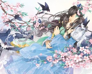 星空传媒免费在线